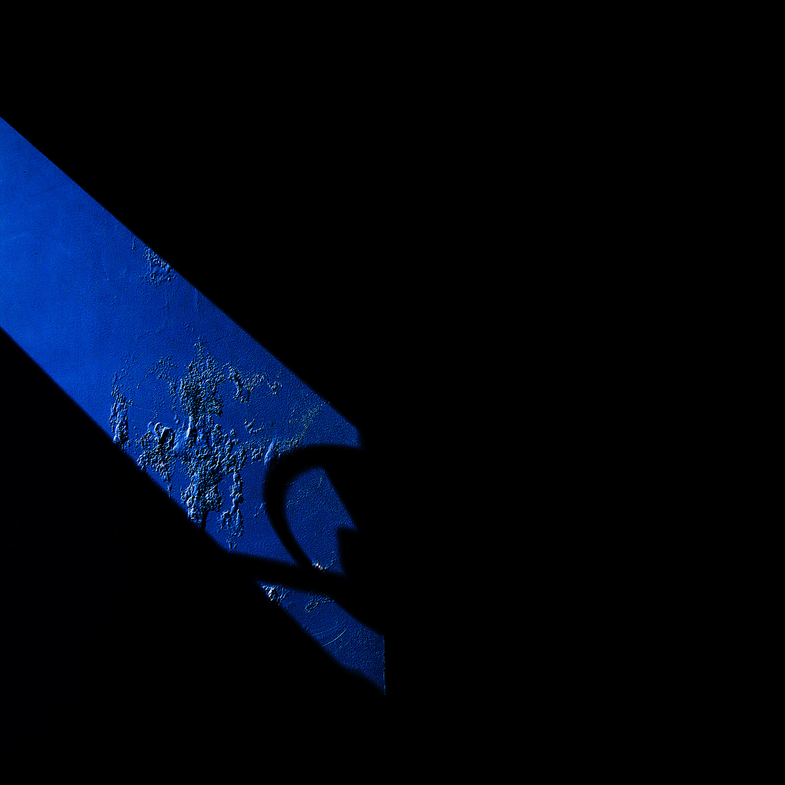 Rivoluzione visiva - 20