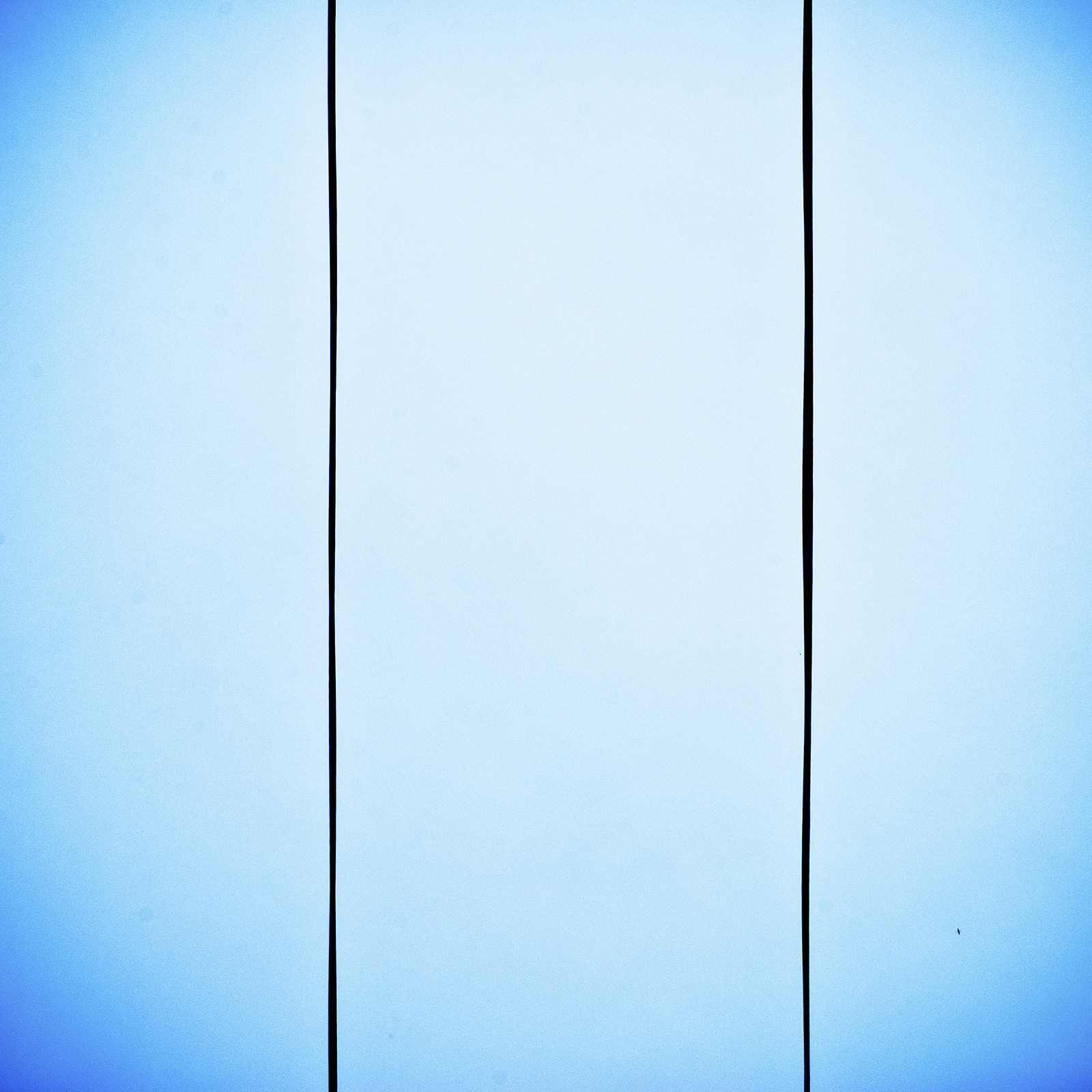 Rivoluzione visiva - 7
